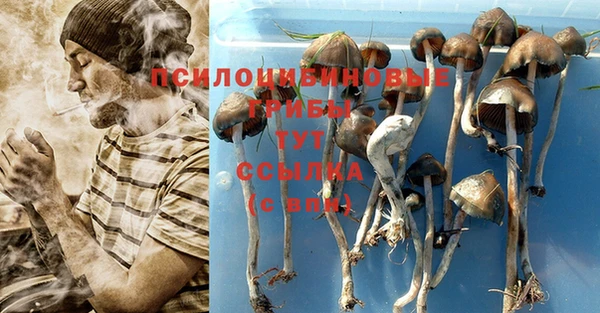тгк Богданович
