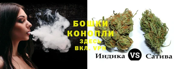 ГАЛЛЮЦИНОГЕННЫЕ ГРИБЫ Бородино