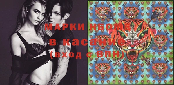 ГАЛЛЮЦИНОГЕННЫЕ ГРИБЫ Бородино