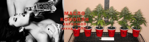 ГАЛЛЮЦИНОГЕННЫЕ ГРИБЫ Бородино