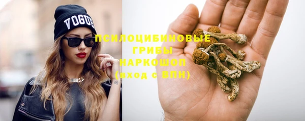 ГАЛЛЮЦИНОГЕННЫЕ ГРИБЫ Бородино