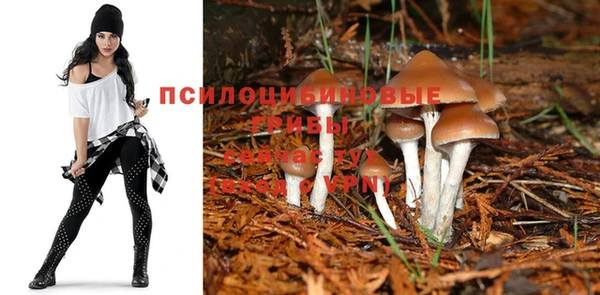не бодяженный Богородск