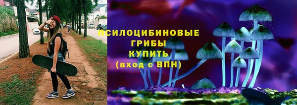 МДПВ Бронницы