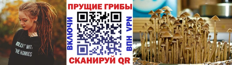 как найти   МЕГА зеркало  Галлюциногенные грибы Psilocybine cubensis  Нефтеюганск 